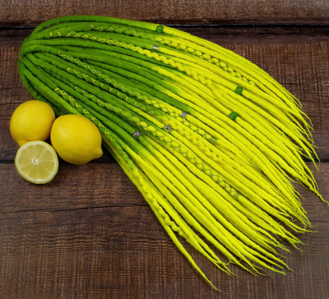 Citrus ombre wool dreadlocks with neon green roots